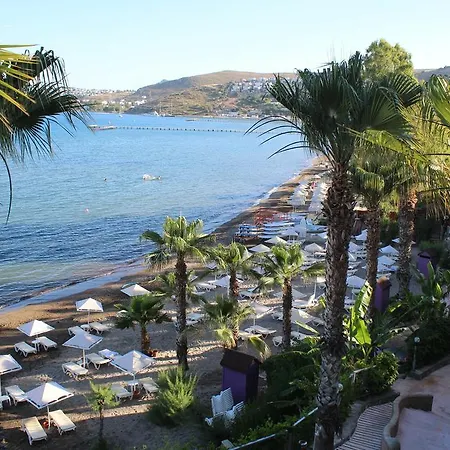 Otel Lighthouse 4*