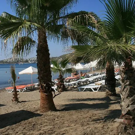 Otel Lighthouse 4*